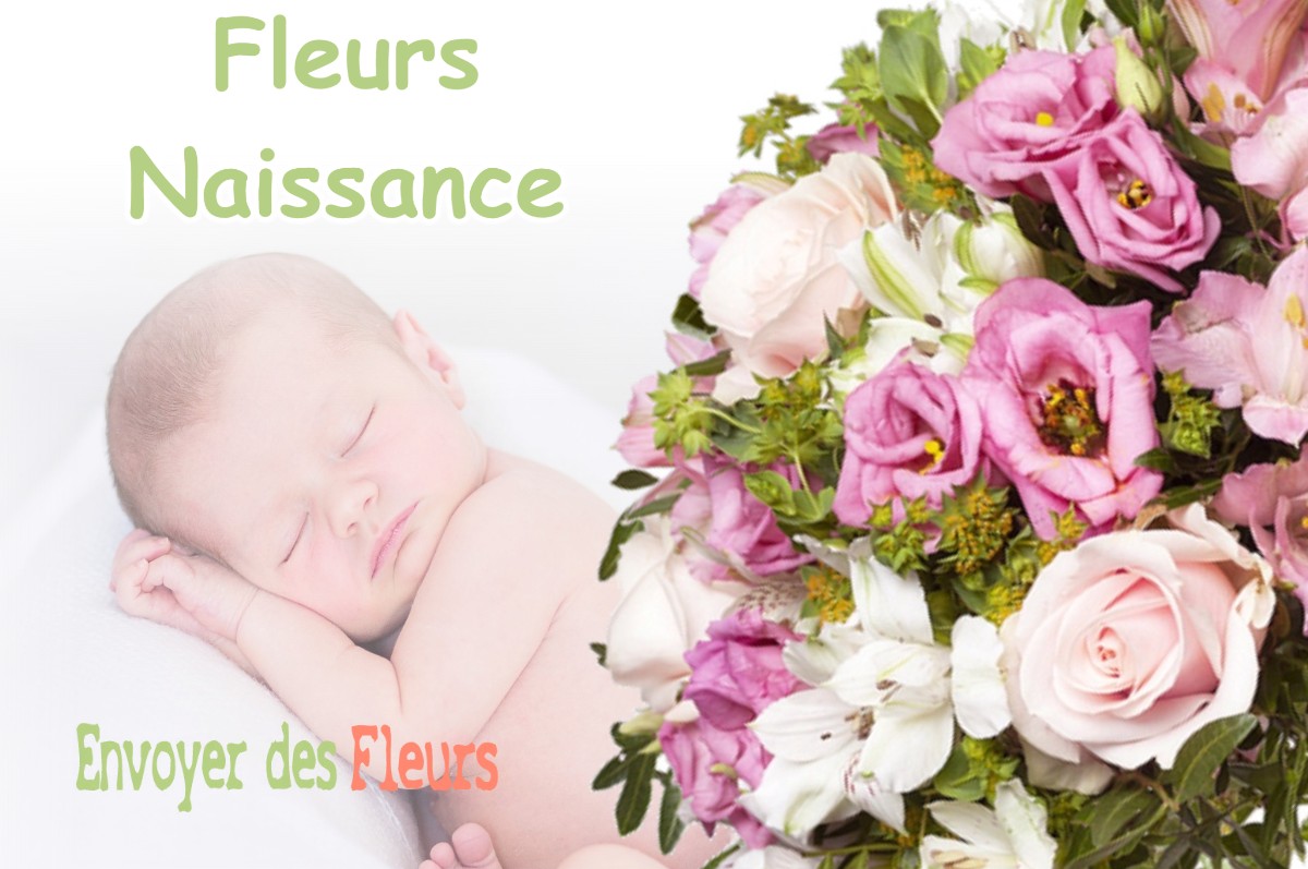 lIVRAISON FLEURS NAISSANCE à LABASTIDE-D-ARMAGNAC